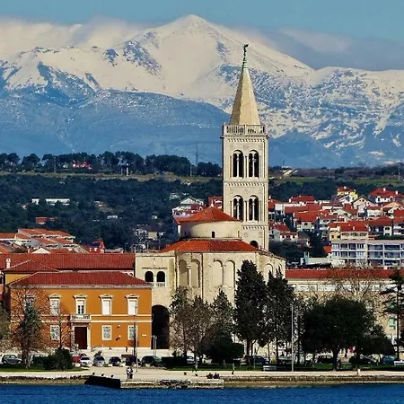 Rosemary * Zadar
